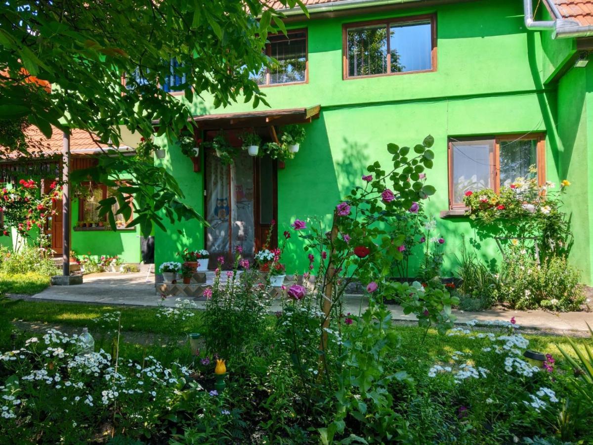 Hotel Csergő Ildikó vendégház à Lăzarea Extérieur photo