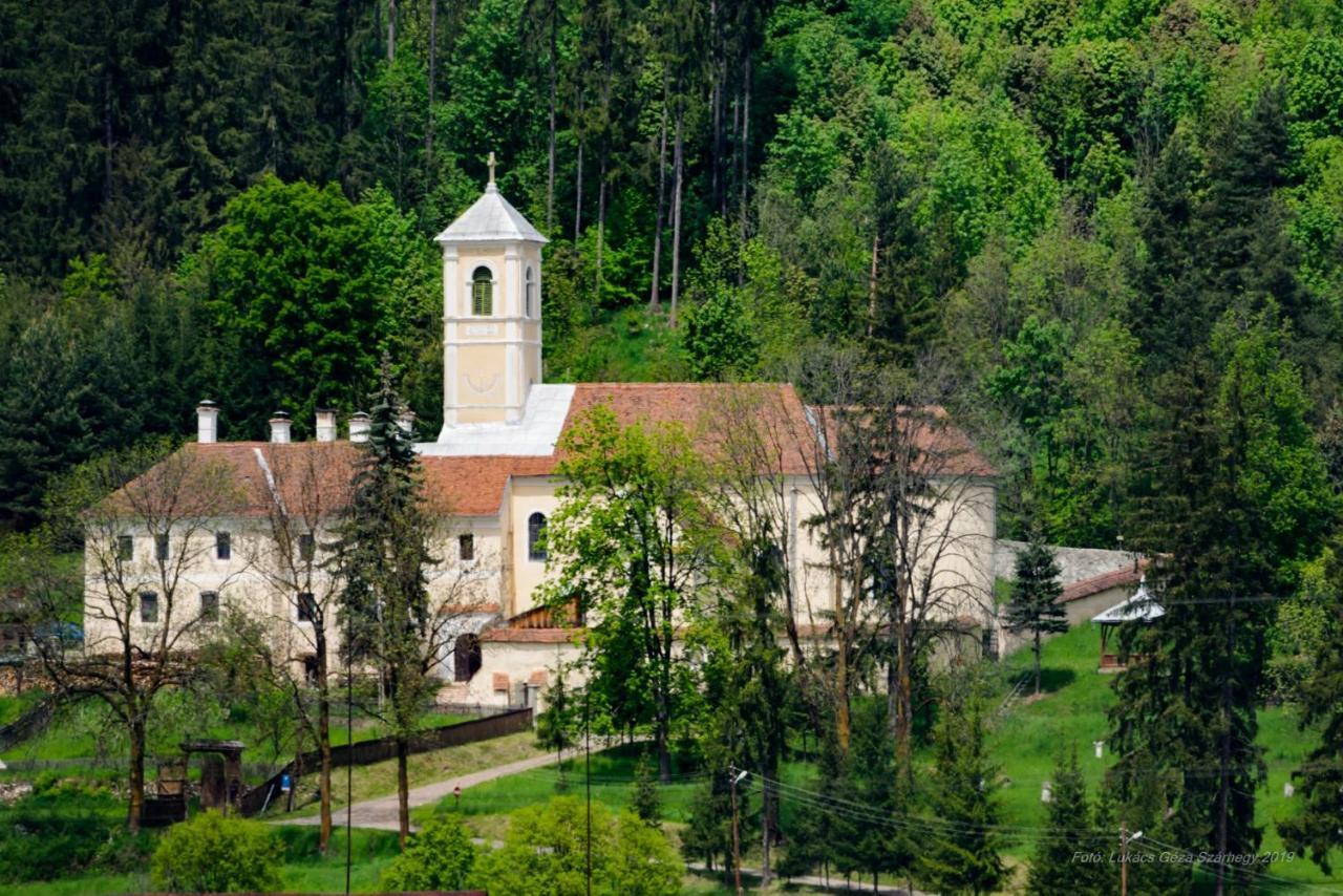 Hotel Csergő Ildikó vendégház à Lăzarea Extérieur photo